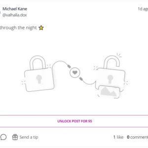 JustFans: Plataforma SaaS para Criadores de Conteúdo Premium - Image 3