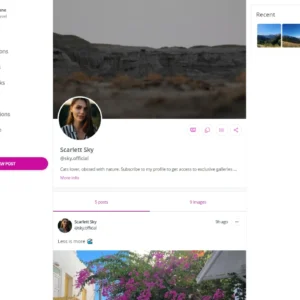 JustFans: Plataforma SaaS para Criadores de Conteúdo Premium - Image 4